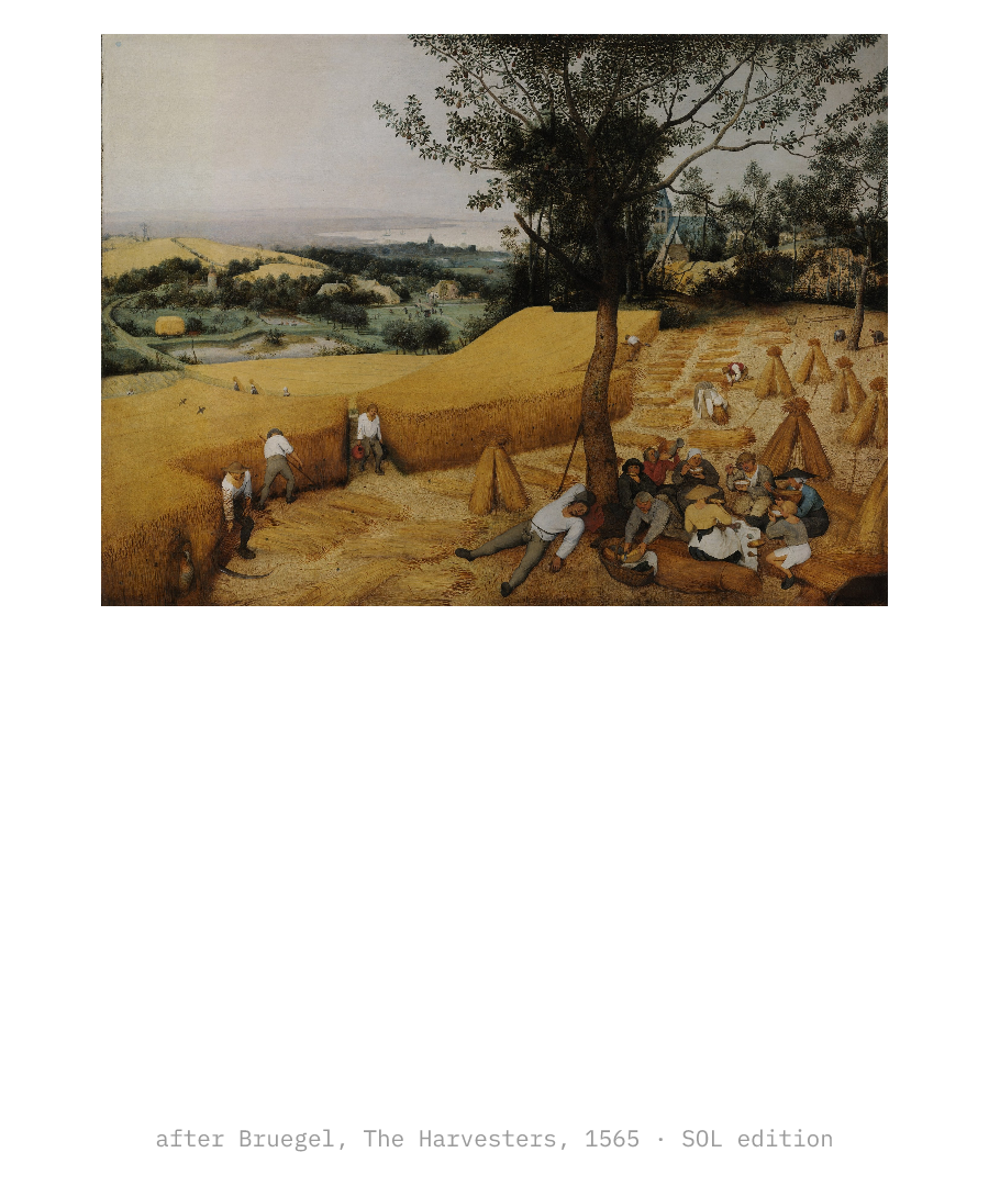 SOL “ASKED FOR AN AIRDROP GOT A DM” design
