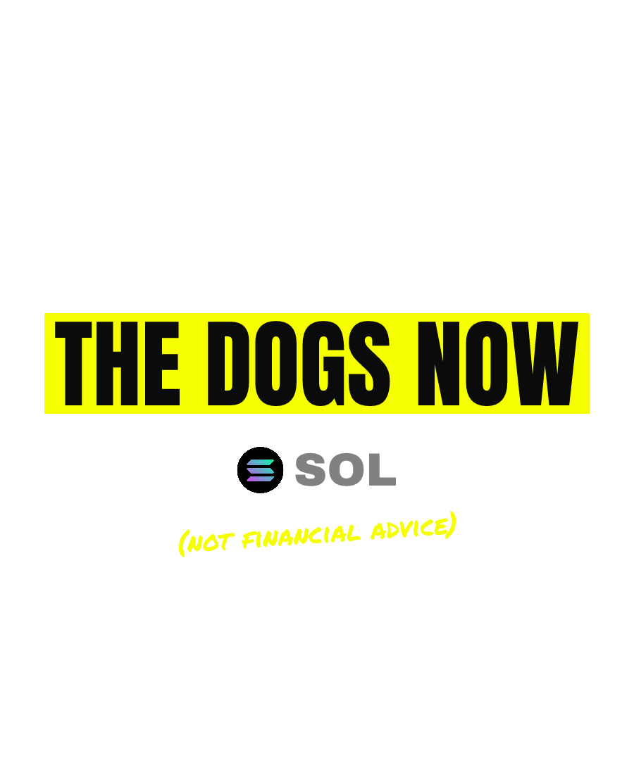 SOL “CATS ARE THE DOGS NOW” design