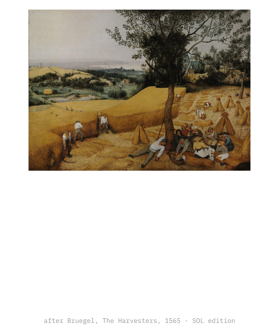 SOL “FARMING POINTS SINCE DAWN” design